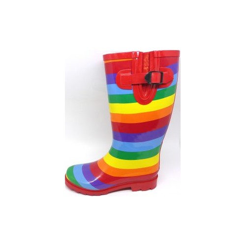 RABEN Ladies Gumboots Rainbow | eBay